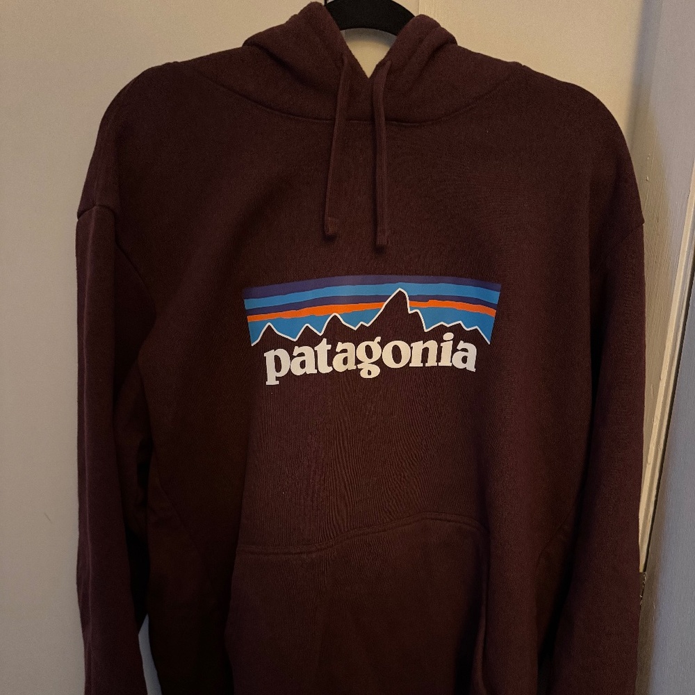 Patagonia Hoodie Sweatshirt - XL